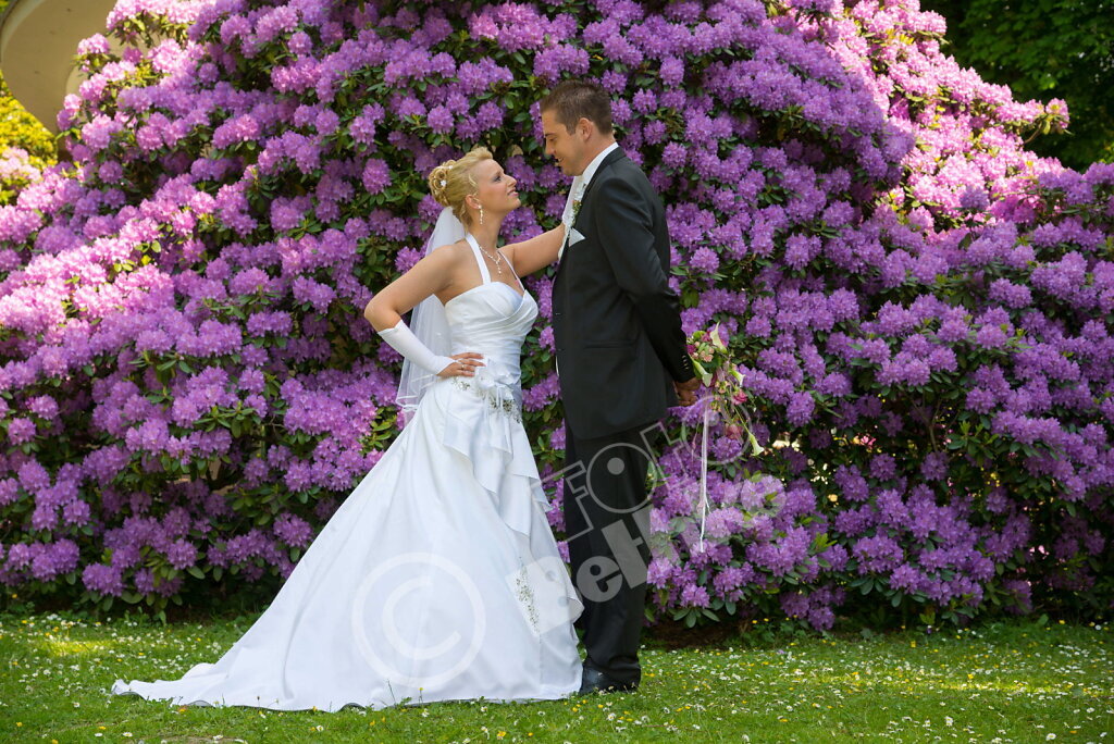 DSC-2740-ret.jpg